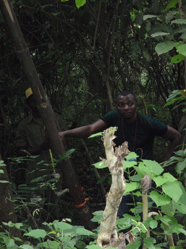 13 Exploring Luki rreserve with local guide.jpg